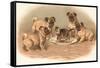 Four Pug Dogs Sitting around a Kitten on a Plate-English School-Framed Stretched Canvas