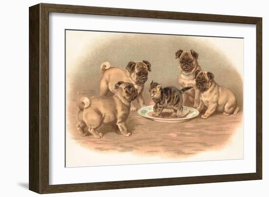 Four Pug Dogs Sitting around a Kitten on a Plate-English School-Framed Giclee Print