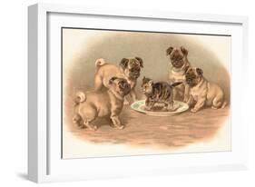 Four Pug Dogs Sitting around a Kitten on a Plate-English School-Framed Giclee Print