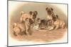 Four Pug Dogs Sitting around a Kitten on a Plate-English School-Mounted Giclee Print