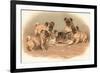 Four Pug Dogs Sitting around a Kitten on a Plate-English School-Framed Giclee Print