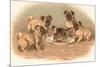 Four Pug Dogs Sitting around a Kitten on a Plate-English School-Mounted Giclee Print