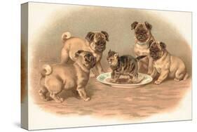 Four Pug Dogs Sitting around a Kitten on a Plate-English School-Stretched Canvas