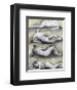 Four Reclining Nudes, 1979-Henry Spencer Moore-Framed Premium Giclee Print