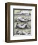 Four Reclining Nudes, 1979-Henry Spencer Moore-Framed Premium Giclee Print