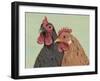 Four Roosters Brown Chickens-Jade Reynolds-Framed Art Print