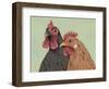 Four Roosters Brown Chickens-Jade Reynolds-Framed Art Print