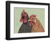 Four Roosters Brown Chickens-Jade Reynolds-Framed Art Print