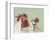 Four Roosters White Chickens-Jade Reynolds-Framed Art Print