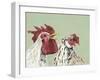 Four Roosters White Chickens-Jade Reynolds-Framed Art Print