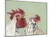 Four Roosters White Chickens-Jade Reynolds-Mounted Art Print