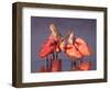 Four Roseate Spoonbills at Dawn, Ding Darling NWR, Sanibel Island, Florida, USA-Charles Sleicher-Framed Photographic Print