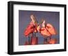 Four Roseate Spoonbills at Dawn, Ding Darling NWR, Sanibel Island, Florida, USA-Charles Sleicher-Framed Photographic Print