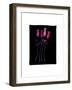 Four Roses-FS Studio-Framed Giclee Print