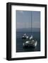 Four Sail Boats out on the Water and One Has a Large Mast-Wirestock-Framed Photographic Print