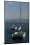 Four Sail Boats out on the Water and One Has a Large Mast-Wirestock-Mounted Photographic Print