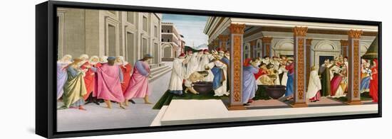 Four Scenes from the Early Life of Saint Zenobius, C.1500-Sandro Botticelli-Framed Stretched Canvas