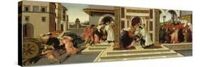 Four Scenes from the Life of St, Zenobius, C. 1500-Sandro Botticelli-Stretched Canvas