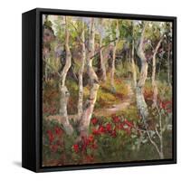 Four Seasons Aspens I-Nanette Oleson-Framed Stretched Canvas