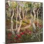 Four Seasons Aspens I-Nanette Oleson-Mounted Art Print