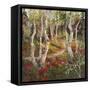 Four Seasons Aspens I-Nanette Oleson-Framed Stretched Canvas