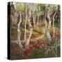 Four Seasons Aspens I-Nanette Oleson-Stretched Canvas