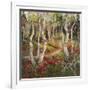 Four Seasons Aspens I-Nanette Oleson-Framed Art Print