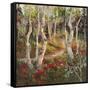 Four Seasons Aspens I-Nanette Oleson-Framed Stretched Canvas