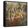Four Seasons Aspens I-Nanette Oleson-Framed Stretched Canvas