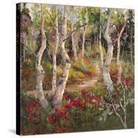 Four Seasons Aspens I-Nanette Oleson-Stretched Canvas