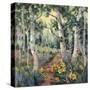 Four Seasons Aspens II-Nanette Oleson-Stretched Canvas