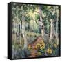 Four Seasons Aspens II-Nanette Oleson-Framed Stretched Canvas