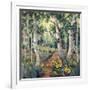 Four Seasons Aspens II-Nanette Oleson-Framed Art Print