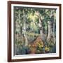 Four Seasons Aspens II-Nanette Oleson-Framed Art Print