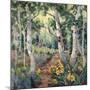 Four Seasons Aspens II-Nanette Oleson-Mounted Art Print