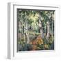 Four Seasons Aspens II-Nanette Oleson-Framed Art Print