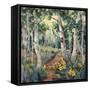 Four Seasons Aspens II-Nanette Oleson-Framed Stretched Canvas