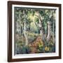 Four Seasons Aspens II-Nanette Oleson-Framed Art Print