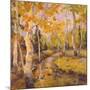 Four Seasons Aspens III-Nanette Oleson-Mounted Art Print