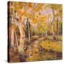 Four Seasons Aspens III-Nanette Oleson-Stretched Canvas