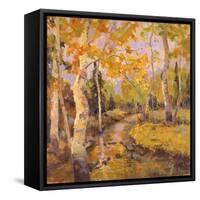 Four Seasons Aspens III-Nanette Oleson-Framed Stretched Canvas