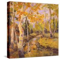 Four Seasons Aspens III-Nanette Oleson-Stretched Canvas