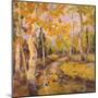 Four Seasons Aspens III-Nanette Oleson-Mounted Art Print