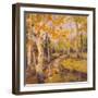 Four Seasons Aspens III-Nanette Oleson-Framed Art Print