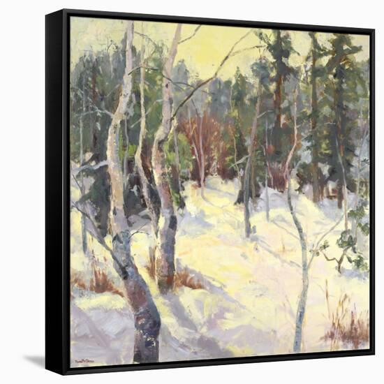 Four Seasons Aspens IV-Nanette Oleson-Framed Stretched Canvas