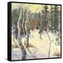 Four Seasons Aspens IV-Nanette Oleson-Framed Stretched Canvas