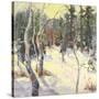 Four Seasons Aspens IV-Nanette Oleson-Stretched Canvas