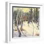 Four Seasons Aspens IV-Nanette Oleson-Framed Art Print