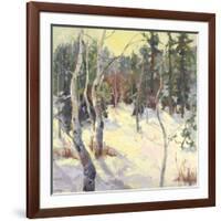 Four Seasons Aspens IV-Nanette Oleson-Framed Art Print