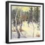 Four Seasons Aspens IV-Nanette Oleson-Framed Art Print